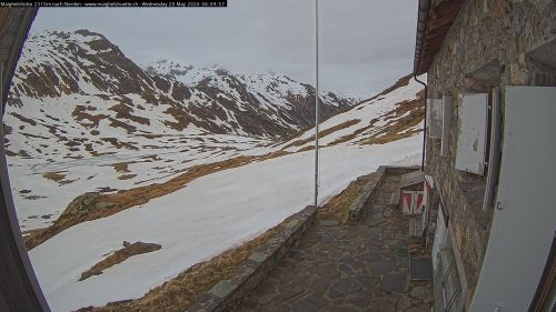 image-1